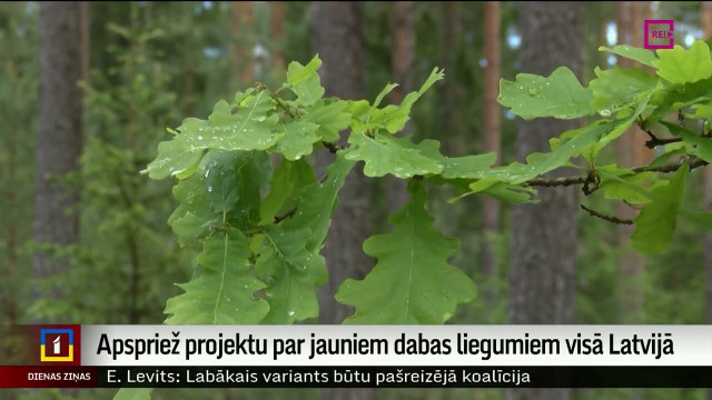 Apspriež projektu par jauniem dabas liegumiem Latvijā