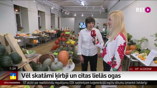 Intervija ar dārzniecības «Neslinko» pārstāvi Elgu Bražūni un  Polīnu Šķiņķi
