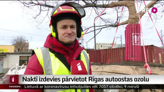 Naktī izdevies pārvietot Rīgas autoostas ozolu