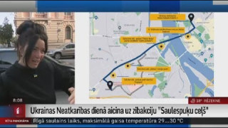 Ukrainas Neatkarības dienā aicina uz zibakciju "Saulespuķu ceļš"