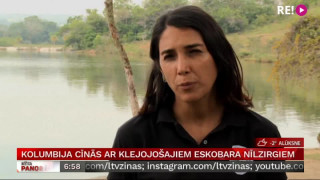 Kolumbija cīnās ar klejojošajiem Eskobara nīlzirgiem