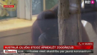 Austrijā cilvēki steidz apmeklēt zoodārzus