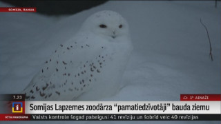 Somijas Lapzemes zoodārza "pamatiedzīvotāji" bauda ziemu