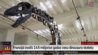 Francijā izsolīs 145 miljonus gadu vecu dinozaura skeletu