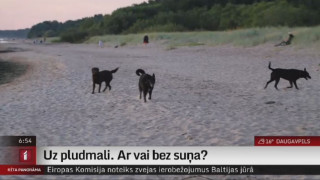 Uz pludmali. Ar vai bez suņa?