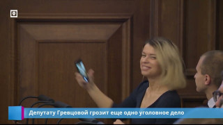 Депутату Гревцовой грозит еще одно уголовное дело