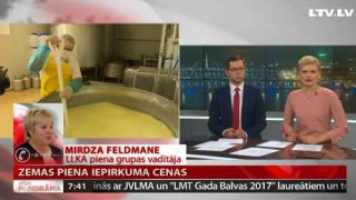Telefonintervija ar Mirdzu Feldmani par piene iepirkuma cenām