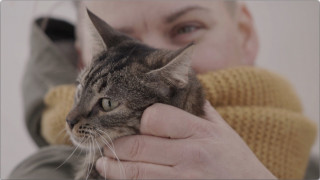 Misija, cerība vai mīlestība – kas liek palīdzēt ielas kaķiem un atrast tiem īstas mājas?