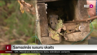 Samazinās susuru skaits