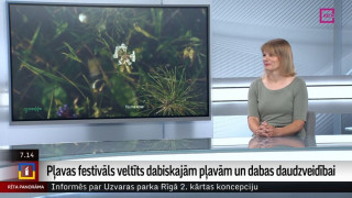 Arkādijas parkā norisināsies Pļavas festivāls