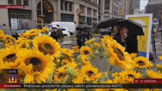 Ņujorkā ar saulespuķēm pauž atbalstu Ukrainai