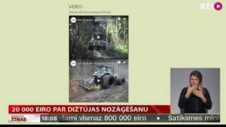 20 000 eiro par dižtūjas nozāģēšanu