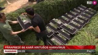 Pārapbedī 66 karā kritušos karavīrus