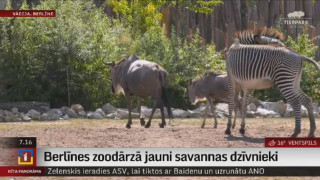 Berlīnes zoodārzā jauni savannas dzīvnieki
