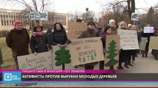 Активисты против вырубки молодых деревьев