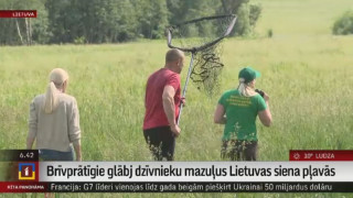 Brīvprātīgie glābj dzīvnieku mazuļus Lietuvas siena pļavās