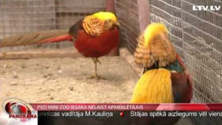 PVD mini zoo iesaka nelaist apmeklētājus