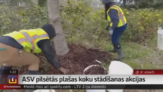 ASV pilsētās plašas koku stādīšanas akcijas