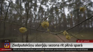 Ziedputekšņu alerģiju sezona rit pilnā sparā