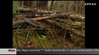 Охоту из лука в Латвии не разрешат