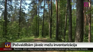 Pašvaldībām jāveic mežu inventarizācija