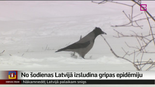 Latvijā izsludina gripas epidēmiju