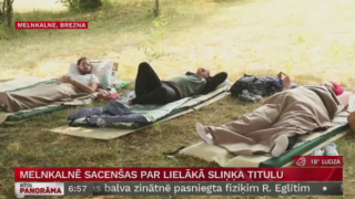 Melnkalnē sacenšas par lielākā sliņķa titulu