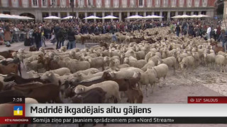 Madridē ikgadējais aitu gājiens