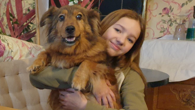 TV PIRMIZRĀDE! «Teātris.zip bērniem»: Valmieras drāmas teātra izrāde «Cilvēkam vajag suni»