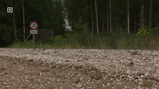 ПРОТИВ ПЫЛИ НА ГРУНТОВКАХ ТЕСТИРУЮТ НОВОЕ СРЕДСТВО