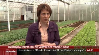 Latvijas dārzeņu eksports