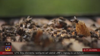 Bosnijas biškopji bažījas par klimata izmaiņām