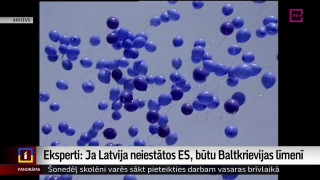 Eksperti: Ja Latvija neiestātos ES, būtu Baltkrievijas līmenī