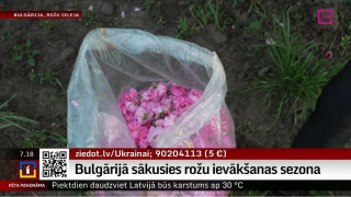 Bulgārijā sākusies rožu ievākšanas sezona