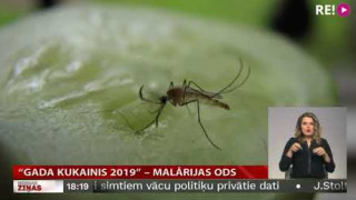 "Gada kukainis 2019" – malārijas ods