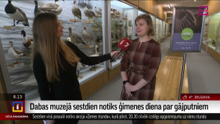 Intervija ar Latvijas Nacionālā dabas muzeja pedagoģi Elīzu Skutāni