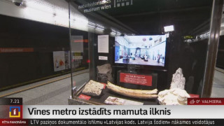 Vīnes metro izstādīts mamuta ilknis