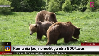 Rumānijā ļauj nomedīt gandrīz 500 lāčus