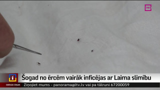 Šogad no ērcēm vairāk inficējas ar Laima slimību