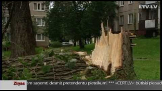 Первые последствия шторма в Латвии
