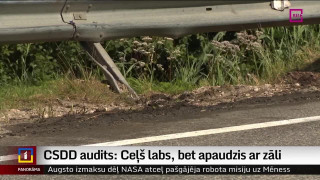 CSDD audits par Liepājas šoseju: Ceļš labs, bet apaudzis ar zāli