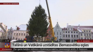 Tallinā un Vatikānā uzstādītas Ziemassvētku egles