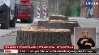 Jēkabpils iedzīvotājus satrauc koku izzāģēšana