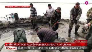 Sibīrijā atrod aizvēsturiska mamuta atliekas