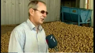 Zemnieki nodod kartupeļus pārstrādei