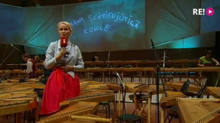 XI Latvijas skolu jaunatnes dziesmu un deju svētki. Kokļu mūzikas koncerts