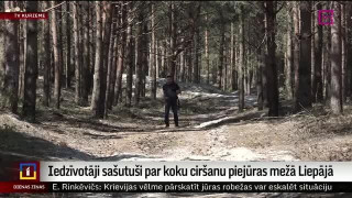 Iedzīvotāji sašutuši par koku ciršanu piejūras mežā Liepājā