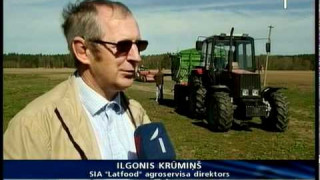Latvijā sāk stādīt kartupeļus