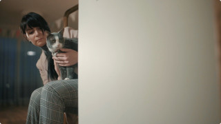 Ielas kaķa laimīgā dzīve – izglābtā Čiepa nosvin savu 18 dzimšanas dienu!
