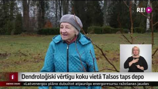 Dendroloģiski vērtīgu koku vietā Talsos taps depo